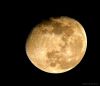 luna... - 